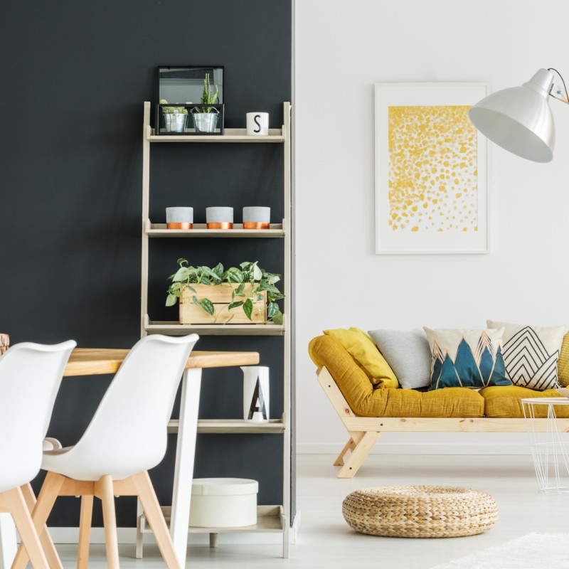 Fresh green plants and decorations standing on shelves